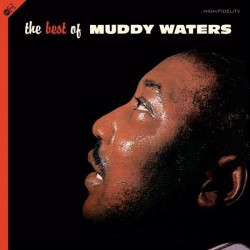 Muddy Waters  - Best of     LP