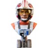 STAR WARS IV - PILOT LUKE SKYWALKER - BUSTE 3D 25CM