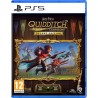 Harry Potter : Champions de Quidditch Deluxe Édition - Version PS5