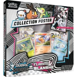 POKEMON COLLECTION POSTER...