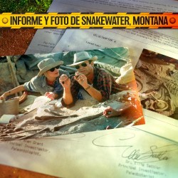 JURASSIC PARK - Coffret Collector The Lost Memories