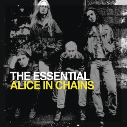 Alice in Chains-The...