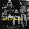 Alice in Chains-The Essential Alice in Chains CD