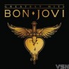 Bon Jovi - Greatest Hits (2 LP)