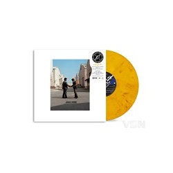 Pink Floyd - Wish You Were...