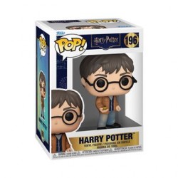 HARRY POTTER - POP Movies...