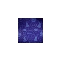 WICKED - Floral & Lace - Mini Sac à Dos Loungefly