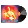 The Jimi Hendrix Experience - Winterland