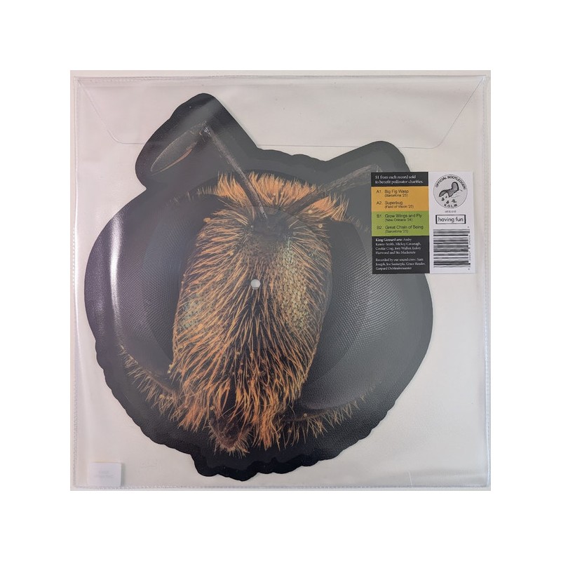 King Gizzard And The Lizard Wizard – Big Fig Wasp RSD