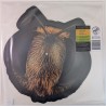 King Gizzard And The Lizard Wizard – Big Fig Wasp RSD
