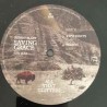 Robert Plant With Suzi Dian – Saving Grace: All That Glitters... RSD