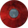 Paramore – All We Know Is Falling RSD