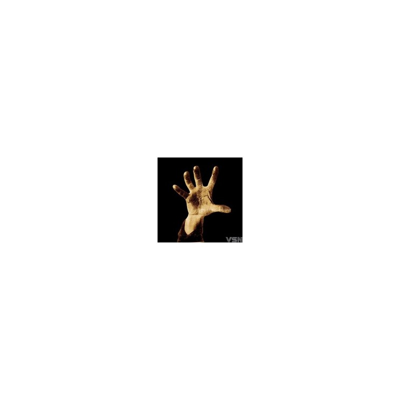 System Of A Down - System Of A Down (LP)