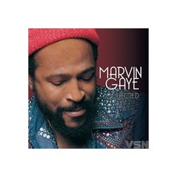 Marvin Gaye - Collected (2 LP)