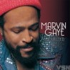 Marvin Gaye - Collected (2 LP)