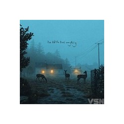 Dermot Kennedy - I've Told...