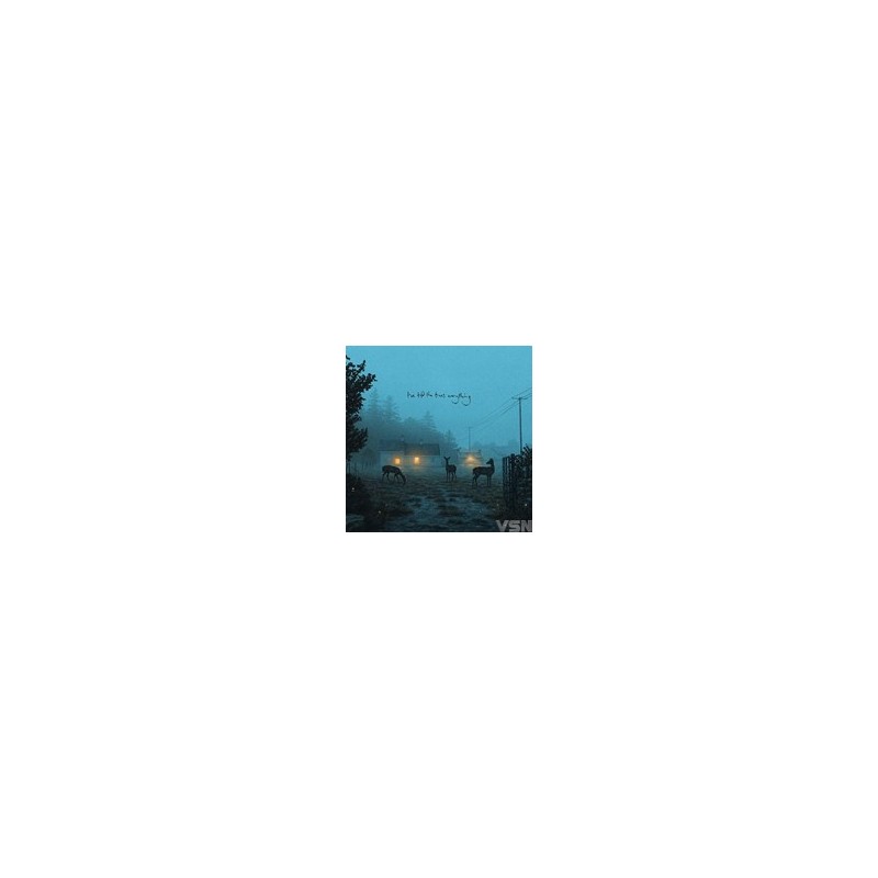 Dermot Kennedy - I've Told The Trees Everything (LP) (Indies-Only) (Limited Edition)
