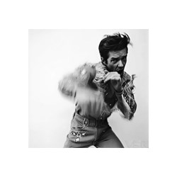 Brandon Flowers - Thrasher...