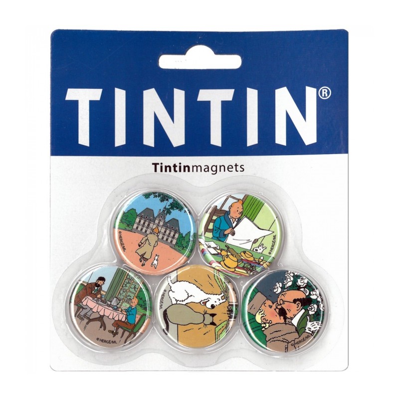 Set de 5 aimants décoratifs pour réfrigérateurs de Tintin à Moulinsart (33mm)