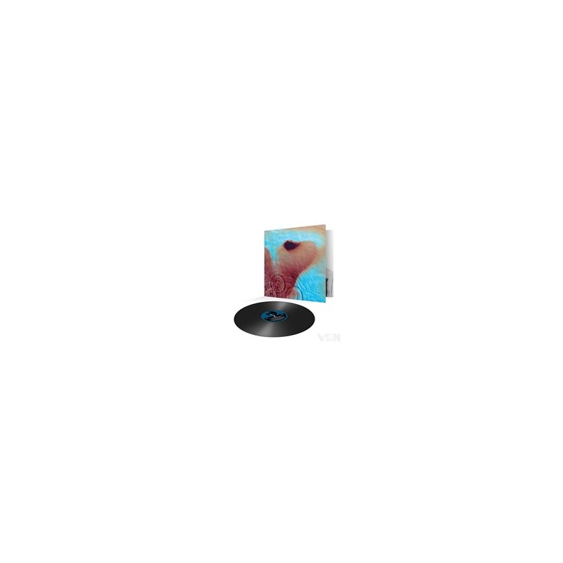 Pink Floyd - Meddle (LP)