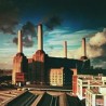 Pink Floyd - Animals (LP)