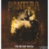 Pantera - Far Beyond Driven (2 LP)