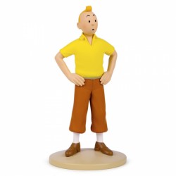 Tintin avec son polo jaune...