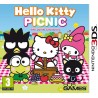 Hello Kitty picnic