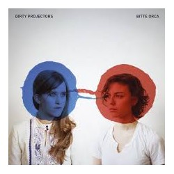 DIRTY PROJECTIONS - BITTE...