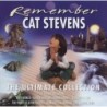 STEVENS CAT - REMEMBER