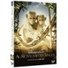 Au Royaume des Singes DVD