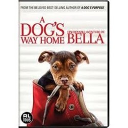 A dog's way home  DVD