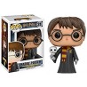 Figurine Pop ! Harry Potter 31 - Harry Potter (avec Hedwige)