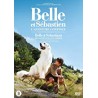 Belle et Sebastien 2 : L Aventure Continue [DVD]