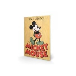 DISNEY - Mickey Mouse Color...